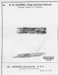 Image Associated With the Occurence